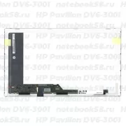 Матрица для ноутбука HP Pavilion DV6-3001 (1366x768 HD) TN, 40pin, Матовая