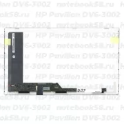 Матрица для ноутбука HP Pavilion DV6-3002 (1366x768 HD) TN, 40pin, Матовая