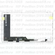 Матрица для ноутбука HP Pavilion DV6-3003 (1366x768 HD) TN, 40pin, Матовая