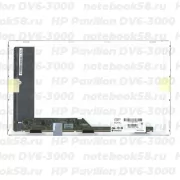 Матрица для ноутбука HP Pavilion DV6-3000 (1366x768 HD) TN, 40pin, Глянцевая