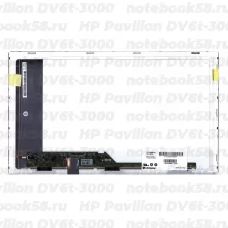 Матрица для ноутбука HP Pavilion DV6t-3000 (1366x768 HD) TN, 40pin, Матовая
