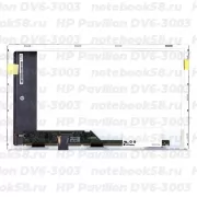 Матрица для ноутбука HP Pavilion DV6-3003 (1366x768 HD) TN, 40pin, Матовая