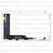 Матрица для ноутбука HP Pavilion DV6-3004 (1366x768 HD) TN, 40pin, Матовая