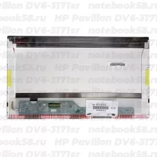 Матрица для ноутбука HP Pavilion DV6-3171sr (1366x768 HD) TN, 40pin, Матовая