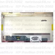 Матрица для ноутбука HP Pavilion DV6-3002 (1366x768 HD) TN, 40pin, Глянцевая