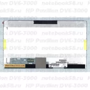 Матрица для ноутбука HP Pavilion DV6-3000 (1366x768 HD) TN, 40pin, Матовая