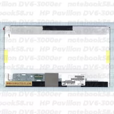 Матрица для ноутбука HP Pavilion DV6-3000er (1366x768 HD) TN, 40pin, Матовая