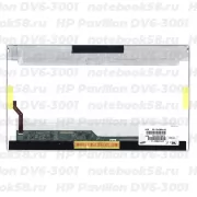 Матрица для ноутбука HP Pavilion DV6-3001 (1366x768 HD) TN, 40pin, Глянцевая