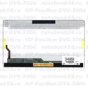 Матрица для ноутбука HP Pavilion DV6-3004 (1366x768 HD) TN, 40pin, Глянцевая