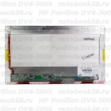 Матрица для ноутбука HP Pavilion DV6-3005 (1366x768 HD) TN, 40pin, Глянцевая