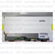 Матрица для ноутбука HP Pavilion DV6-3001 (1366x768 HD) TN, 40pin, Глянцевая