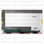 Матрица для ноутбука HP Pavilion DV6-3001 (1366x768 HD) TN, 40pin, Матовая