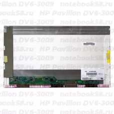 Матрица для ноутбука HP Pavilion DV6-3009 (1366x768 HD) TN, 40pin, Матовая