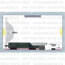 Матрица для ноутбука HP Pavilion DV6-3012 (1366x768 HD) TN, 40pin, Матовая