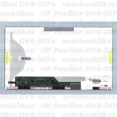 Матрица для ноутбука HP Pavilion DV6-3074 (1366x768 HD) TN, 40pin, Матовая