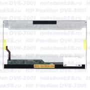 Матрица для ноутбука HP Pavilion DV6-3001 (1366x768 HD) TN, 40pin, Глянцевая