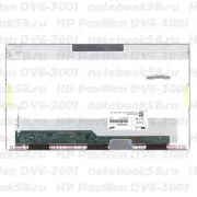 Матрица для ноутбука HP Pavilion DV6-3001 (1366x768 HD) TN, 40pin, Глянцевая