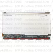 Матрица для ноутбука HP Pavilion DV6-3003 (1366x768 HD) TN, 40pin, Глянцевая