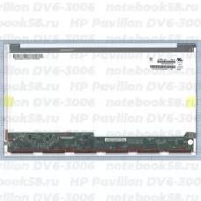 Матрица для ноутбука HP Pavilion DV6-3006 (1366x768 HD) TN, 40pin, Глянцевая