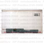 Матрица для ноутбука HP Pavilion DV6-3000 (1366x768 HD) TN, 40pin, Матовая