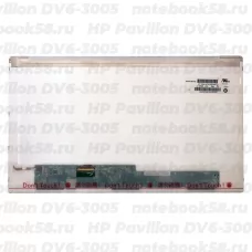 Матрица для ноутбука HP Pavilion DV6-3005 (1366x768 HD) TN, 40pin, Матовая