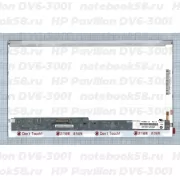 Матрица для ноутбука HP Pavilion DV6-3001 (1366x768 HD) TN, 40pin, Глянцевая