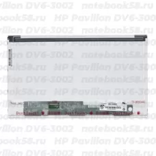 Матрица для ноутбука HP Pavilion DV6-3002 (1366x768 HD) TN, 40pin, Матовая