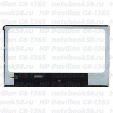Матрица для ноутбука HP Pavilion G6-1365 (1366x768 HD) TN, 40pin, Глянцевая