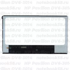 Матрица для ноутбука HP Pavilion DV6-3014 (1366x768 HD) TN, 40pin, Глянцевая