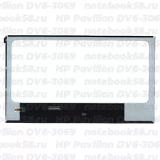 Матрица для ноутбука HP Pavilion DV6-3069 (1366x768 HD) TN, 40pin, Глянцевая