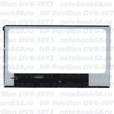 Матрица для ноутбука HP Pavilion DV6-3073 (1366x768 HD) TN, 40pin, Глянцевая